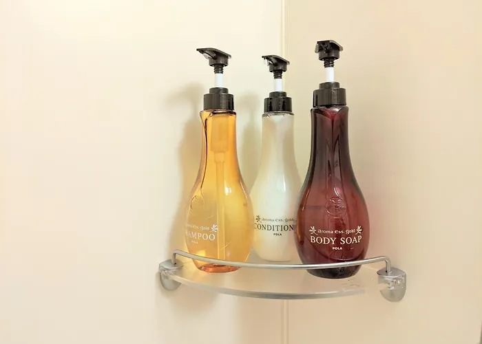 Dormy Inn Premium Sapporo